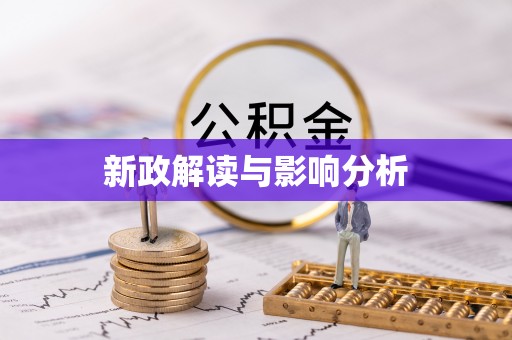 新会新政解读与影响分析