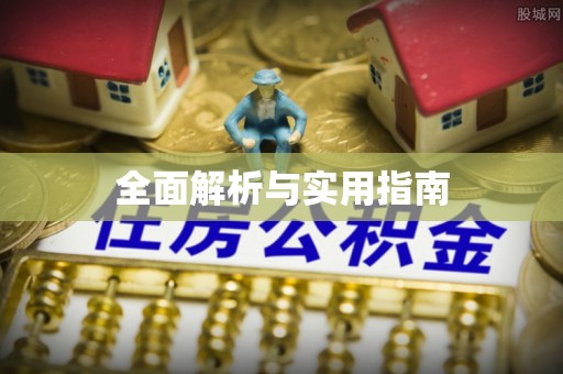 新会全面解析与实用指南