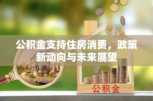 新会公积金支持住房消费，政策新动向与未来展望
