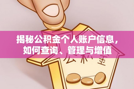 新会揭秘公积金个人账户信息，如何查询、管理与增值