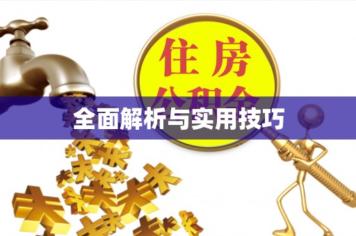 新会全面解析与实用技巧
