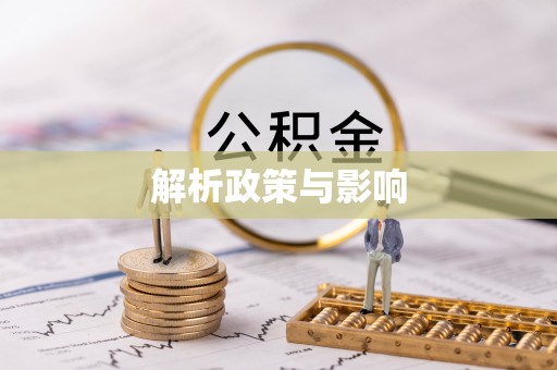 新会解析政策与影响