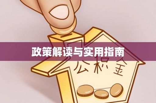 新会政策解读与实用指南