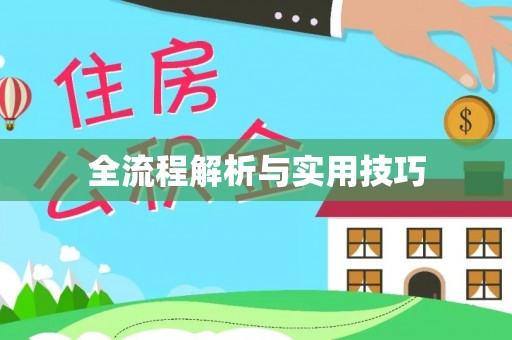 新会全流程解析与实用技巧