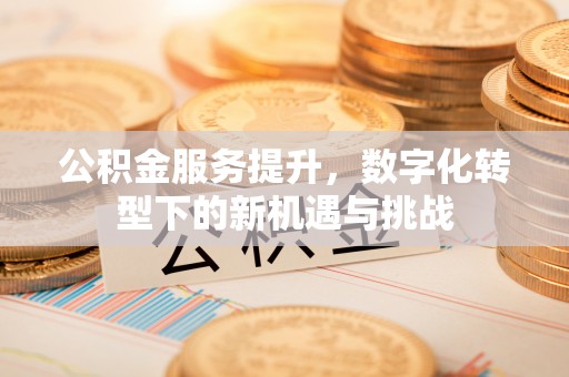新会公积金服务提升，数字化转型下的新机遇与挑战