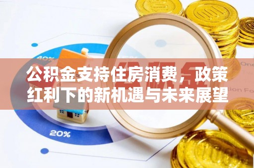 新会公积金支持住房消费，政策红利下的新机遇与未来展望
