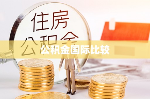 新会公积金国际比较