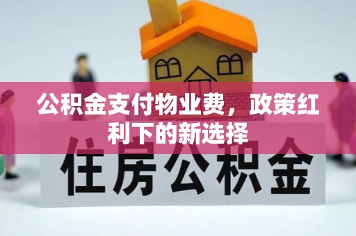 新会公积金支付物业费，政策红利下的新选择
