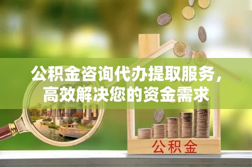 新会公积金咨询代办提取服务，高效解决您的资金需求