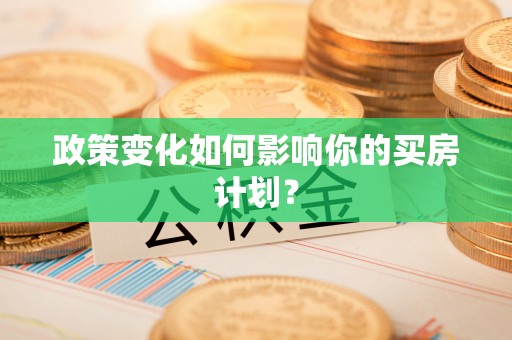 新会政策变化如何影响你的买房计划？