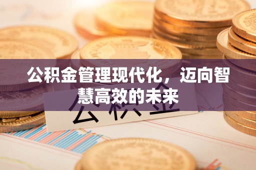 新会公积金管理现代化，迈向智慧高效的未来
