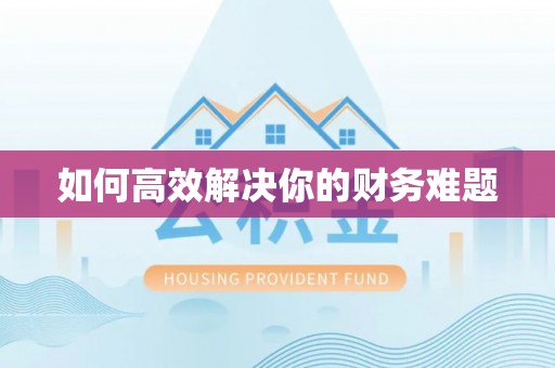 新会如何高效解决你的财务难题