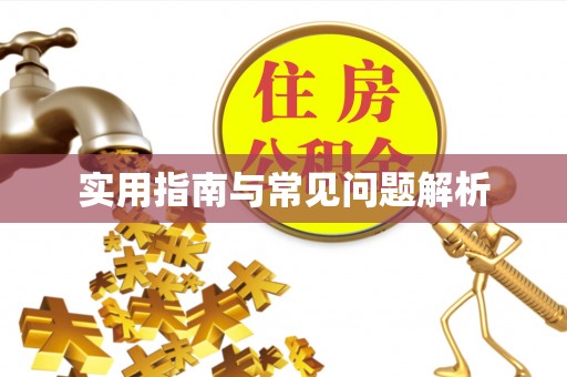 新会实用指南与常见问题解析