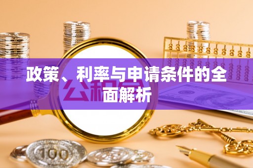 新会政策、利率与申请条件的全面解析