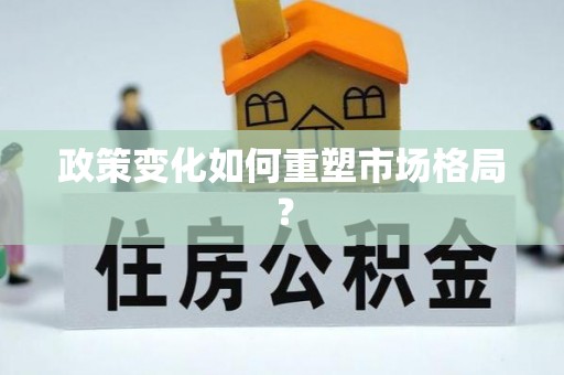 新会政策变化如何重塑市场格局？