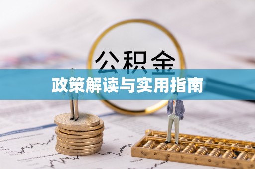 新会政策解读与实用指南