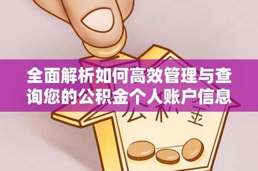 新会全面解析如何高效管理与查询您的公积金个人账户信息