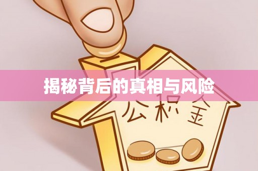 新会揭秘背后的真相与风险