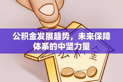 新会公积金发展趋势，未来保障体系的中坚力量