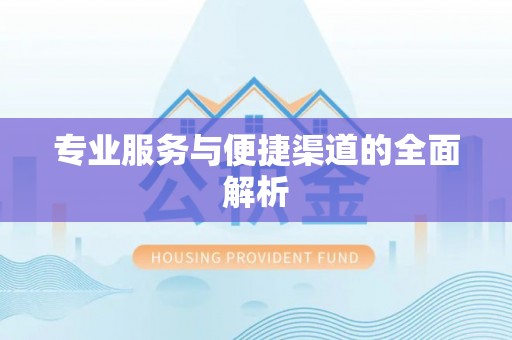新会专业服务与便捷渠道的全面解析