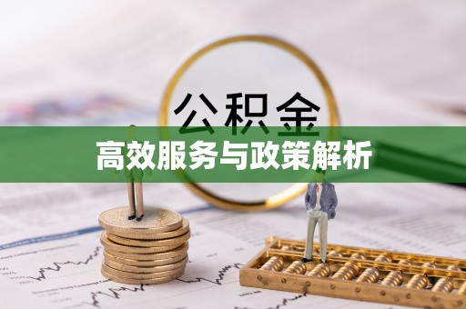 新会高效服务与政策解析