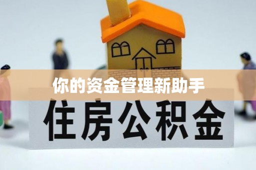 新会你的资金管理新助手