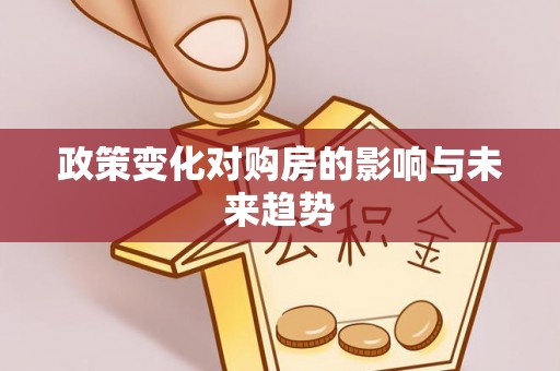 新会政策变化对购房的影响与未来趋势