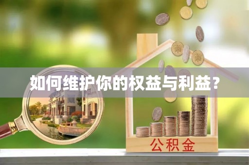 新会如何维护你的权益与利益？