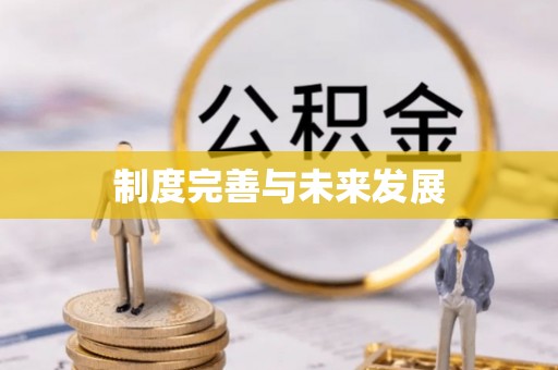 新会制度完善与未来发展