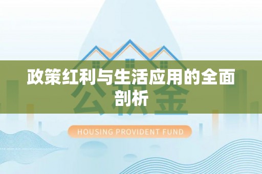 新会政策红利与生活应用的全面剖析