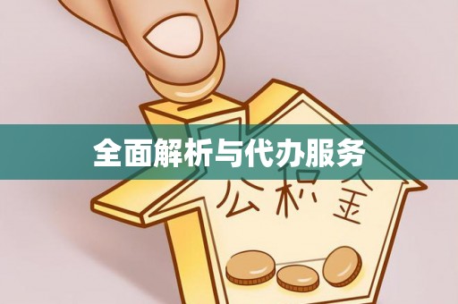新会全面解析与代办服务