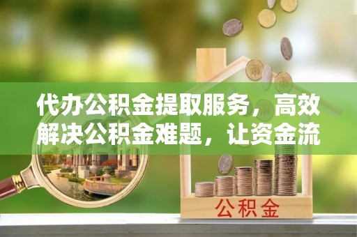 新会代办公积金提取服务，高效解决公积金难题，让资金流动更自由