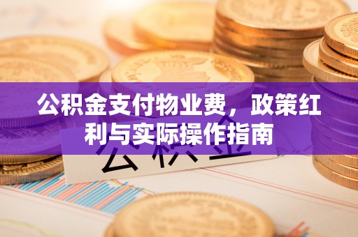 新会公积金支付物业费，政策红利与实际操作指南