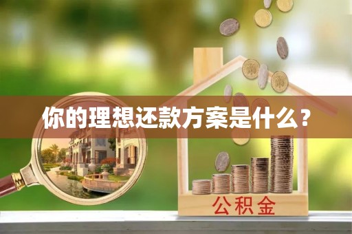 新会你的理想还款方案是什么？