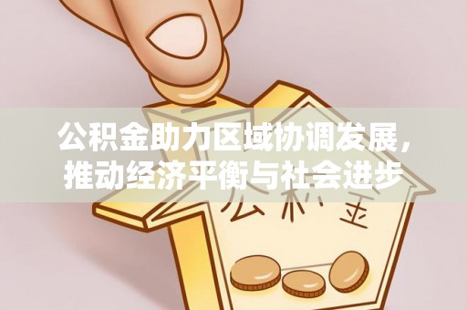 新会公积金助力区域协调发展，推动经济平衡与社会进步