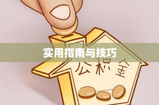 新会实用指南与技巧