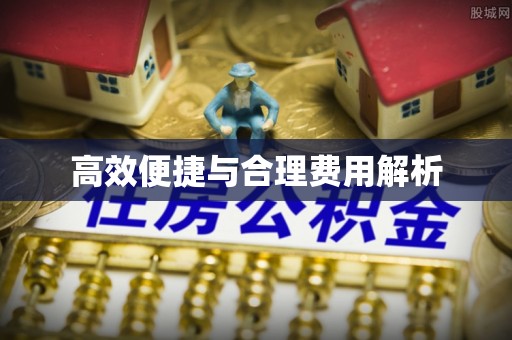 新会高效便捷与合理费用解析