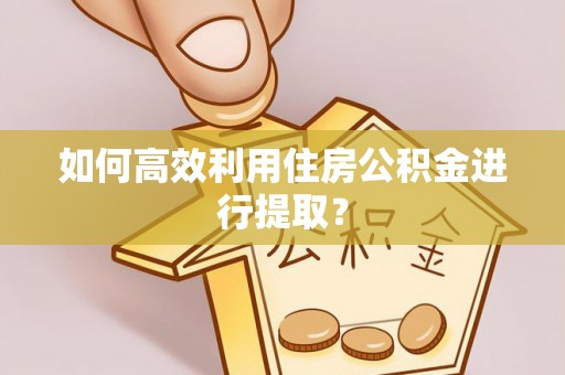 新会如何高效利用住房公积金进行提取？