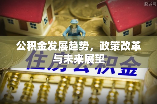 新会公积金发展趋势，政策改革与未来展望