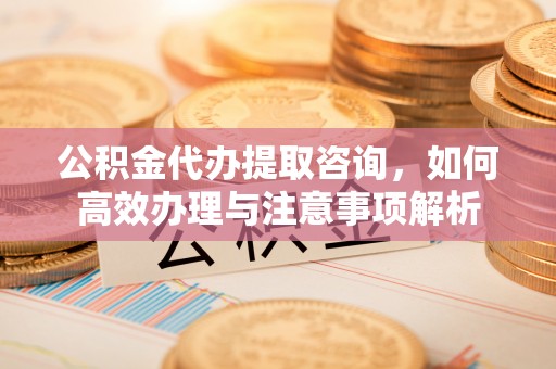 新会公积金代办提取咨询，如何高效办理与注意事项解析