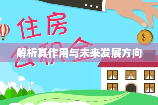 新会解析其作用与未来发展方向
