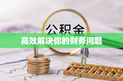 新会高效解决你的财务问题