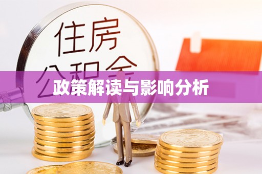 新会政策解读与影响分析
