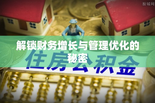 新会解锁财务增长与管理优化的秘密