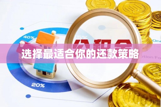 新会选择最适合你的还款策略