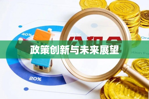 新会政策创新与未来展望