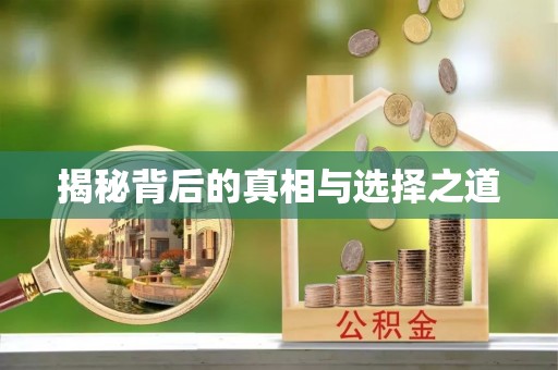 新会揭秘背后的真相与选择之道