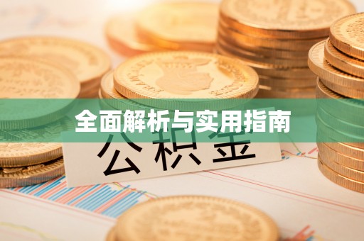 新会全面解析与实用指南