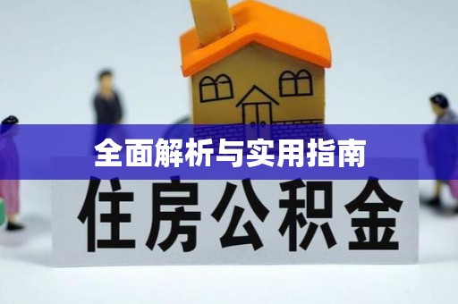 新会全面解析与实用指南